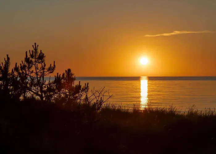 11168-nykobing-sj-platanvej-20 Nykøbing Sjælland